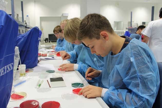 Begeisterte Schüler bei mikrobiologischen  Experimenten.