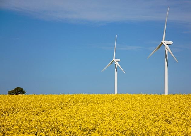 Bioenergie und deren Wirkung auf die Welt will eine neue Forschergruppe der Uni Jena untersuchen.