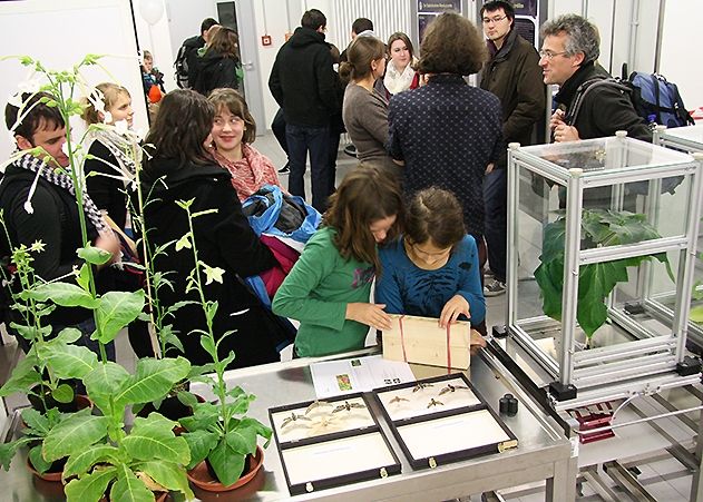 Bei der letzten „Langen Nacht der Wissenschaften“ besuchten fast 4.000 Wissenshungrige den Beutenberg-Campus.