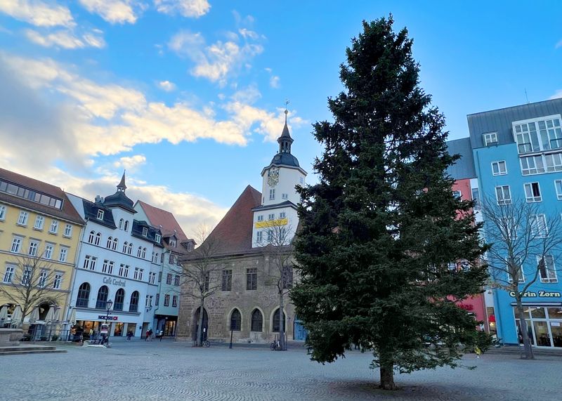 Noch ist der gut gewachsene Baum ungeschmückt.