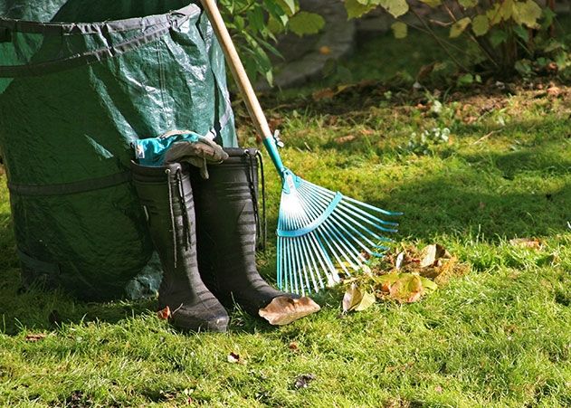 Winterfest machen: Voraussetzung für die Blütenpracht im Frühling.