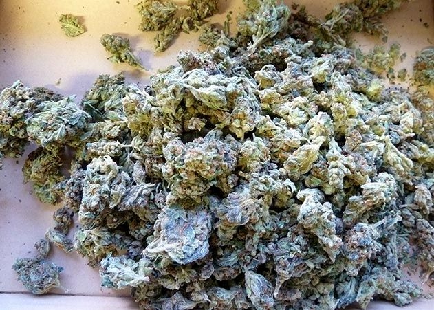 400 Gramm Cannabis fand eine Polizeistreife während einer Kontrolle im Auto des 27-Jährigen.