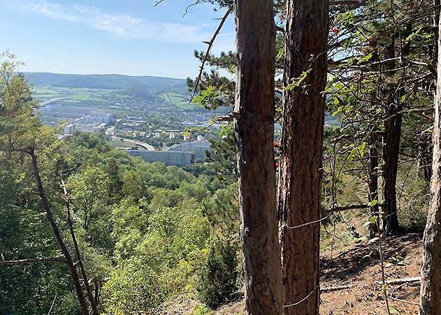 Frühlingszeit ist Geburtszeit: Die Stadt Jena bittet beim Osterspaziergang im Umland zur Rücksicht auf die Tier- und Pflanzenwelt.