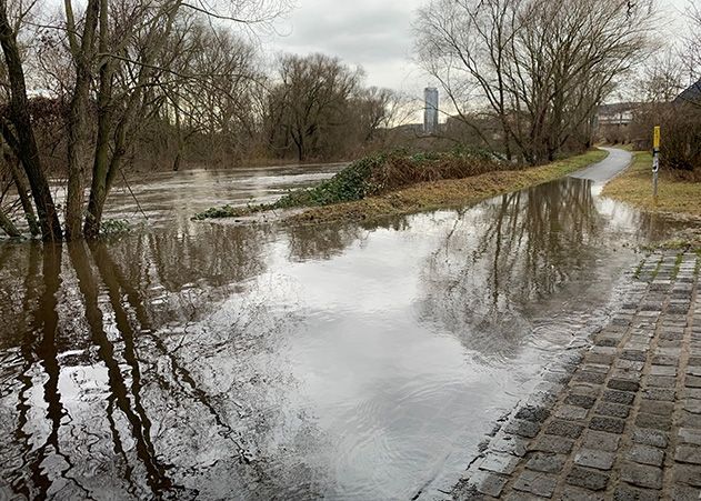 In Jena ist am Donnerstagmorgen die Saale über die Ufer getreten.