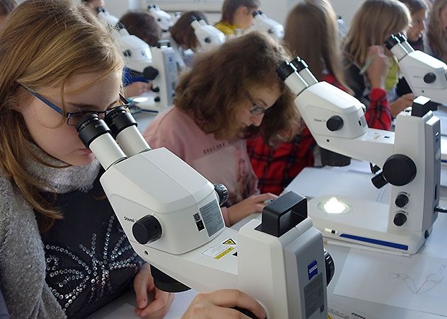 Die Schülerinnen Sarah Preissler und Lea Donkov (v.l.) der 7. Klasse des Lyonel-Feininger-Gymnasiums in Mellingen arbeiten mit dem Mikroskop ZEISS Stemi 305.